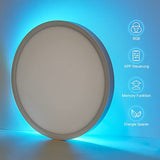 Anten Alexa LED Deckenlampe | 24W WLAN Farbwechsel Deckenleuchte mit Fernbedienung | RGB Kaltweiß Warmweiß Dimmbar | Steuerbar via App | Smart Lampe für für Wohnzimmer, Schlafzimmer [Energieklasse F]
